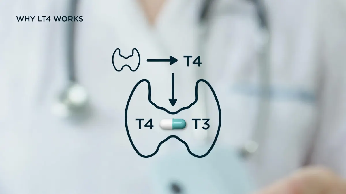 Is Intermittent Fasting Actually Worth Trying in 2026?