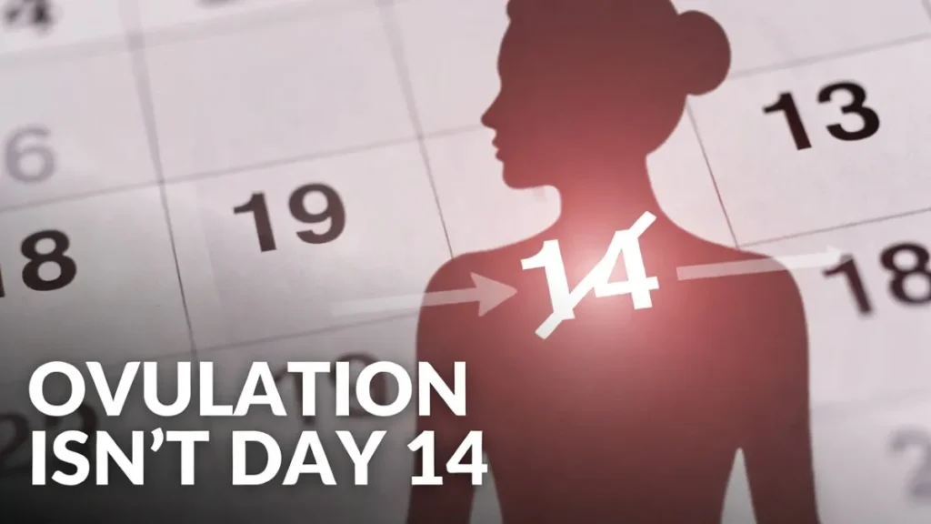 Busting the Myth: The Classic 28-Day Cycle Is Rare